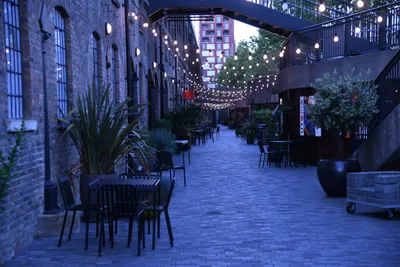 DSC_1724 (Large).JPG